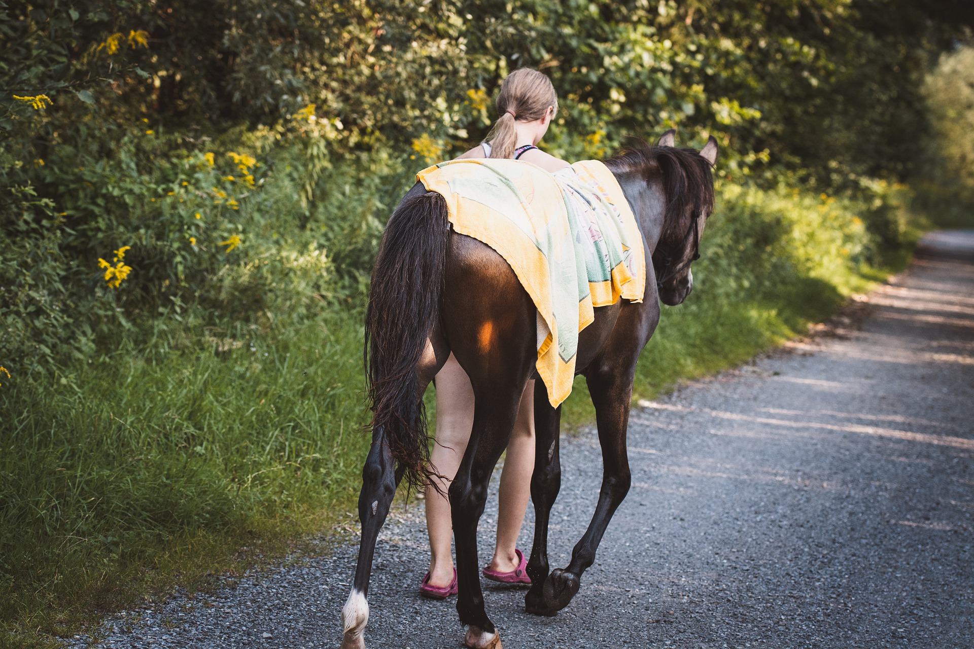 girl-gb0fb57701_1920